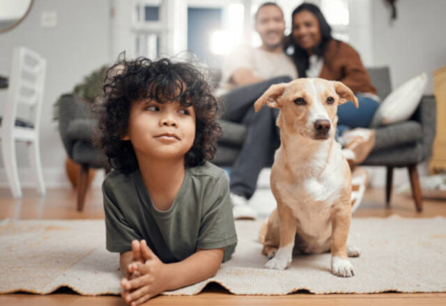 Pet e criança familia