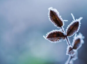 Onda de frio