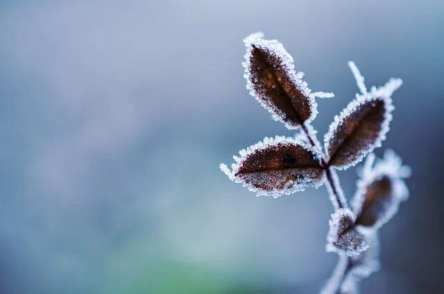 Onda de frio