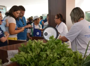 micro e pequena empresa