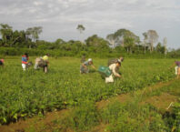 Agricultura Familiar