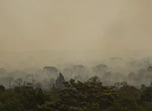 Parque Nacional