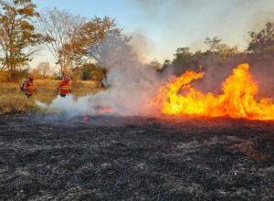 Paiaguas Pantanal