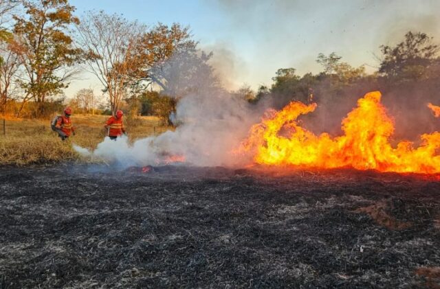 Paiaguas Pantanal